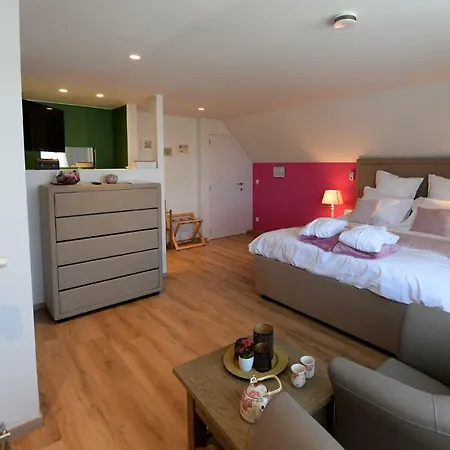 Rozerie Bed & Breakfast Anzegem